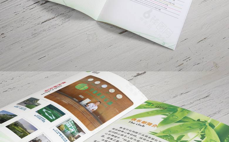 简约高尔夫画册