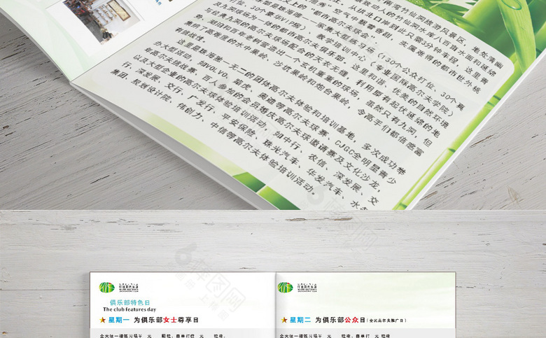 简约高尔夫画册