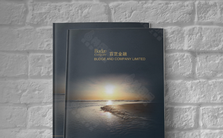 高档黑色金融理财画册