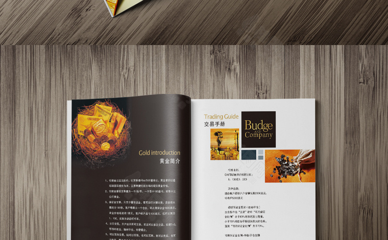 高档黑色金融理财画册