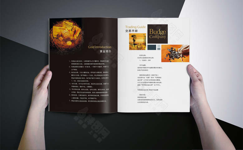 高档金融投资画册