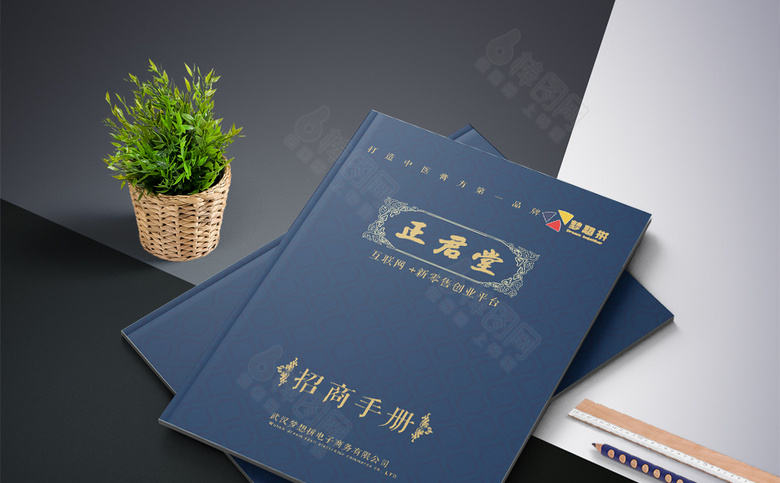 蓝色高端招商画册