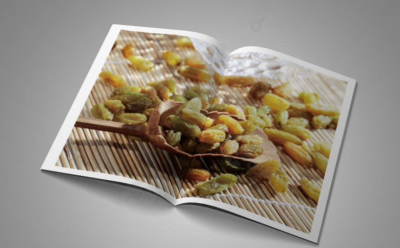 简约葡萄干画册