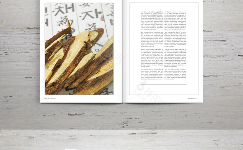 简约中草药画册