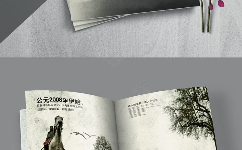 中国风水墨画册设计