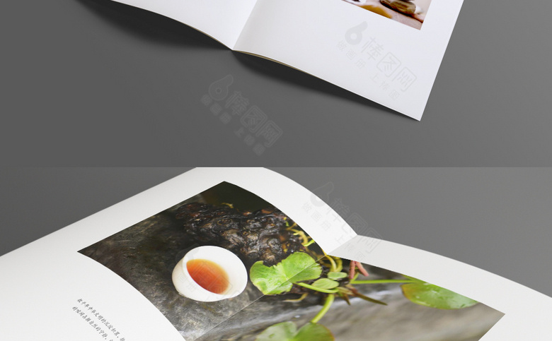 茶具宣传册