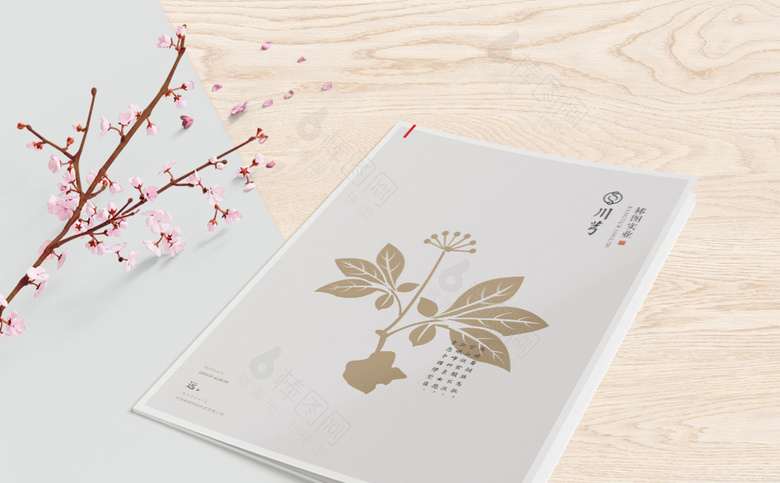 中药川芎画册封面
