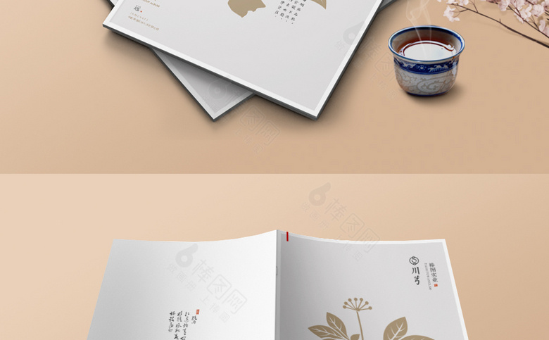 中药川芎画册封面
