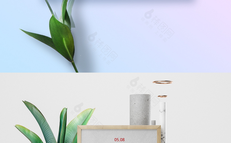 感恩节花卉
