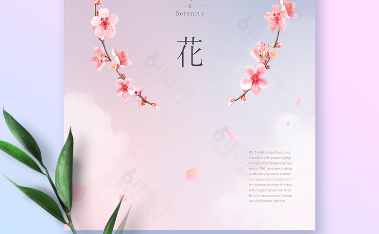 春天梅花海报素材