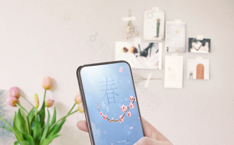春天梅花素材