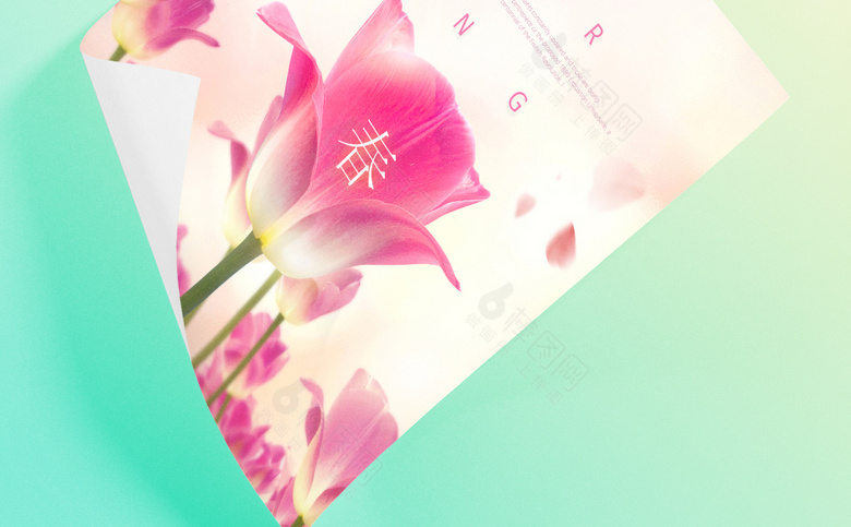 春季春天素材
