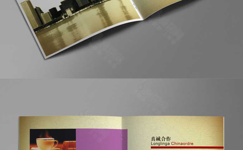 大气企业画册