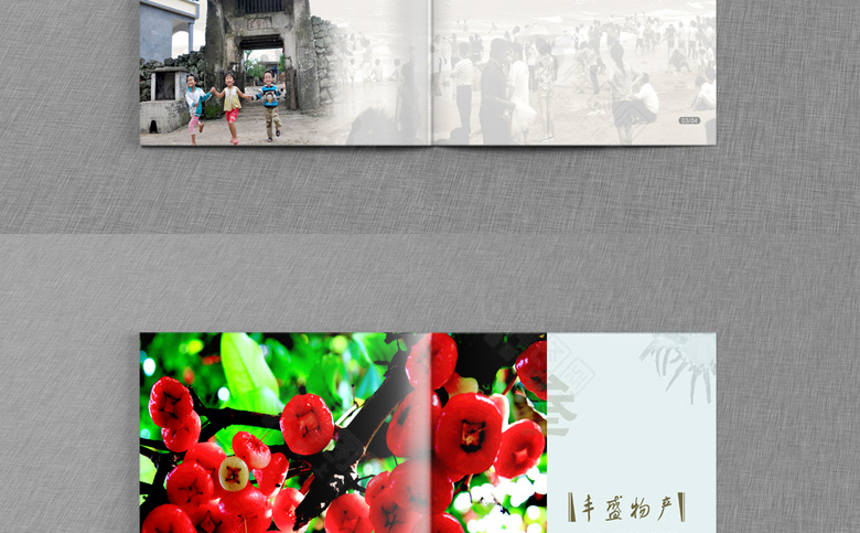 海南招商画册