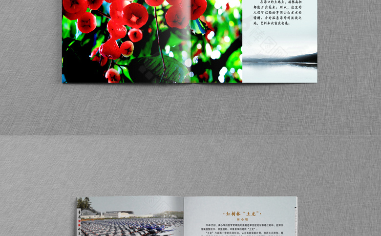 海南招商画册