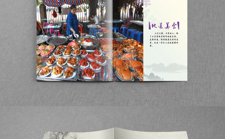 海南招商画册