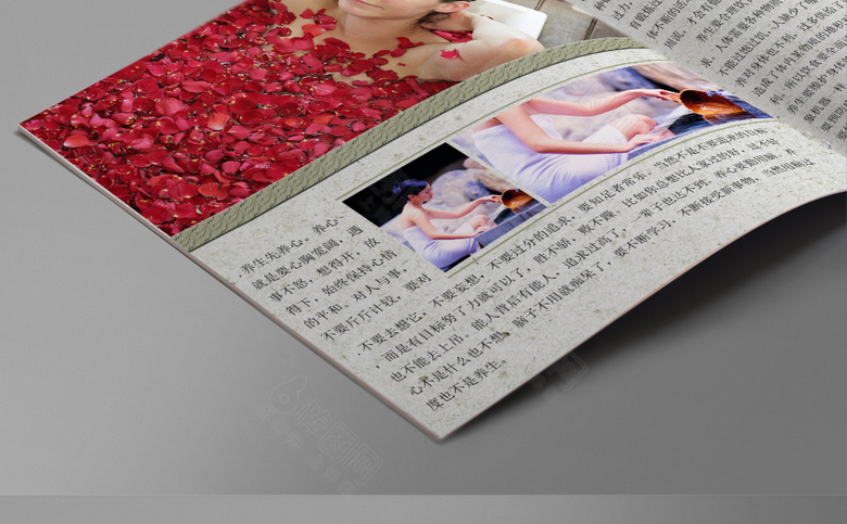 中医养生画册
