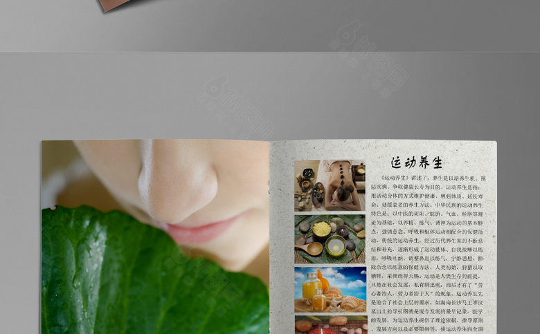 中医养生画册