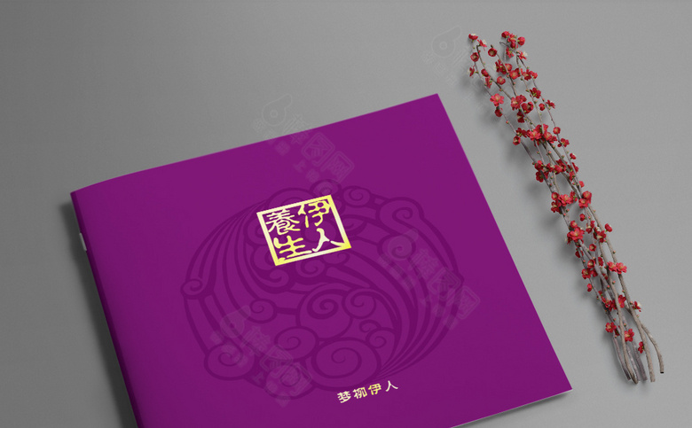 养生画册