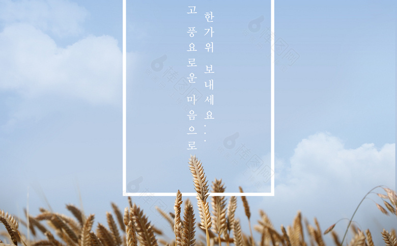 中秋素材